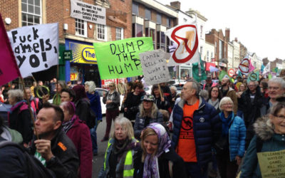 Town in Ireland Hates Camels: Protest Breaks Out